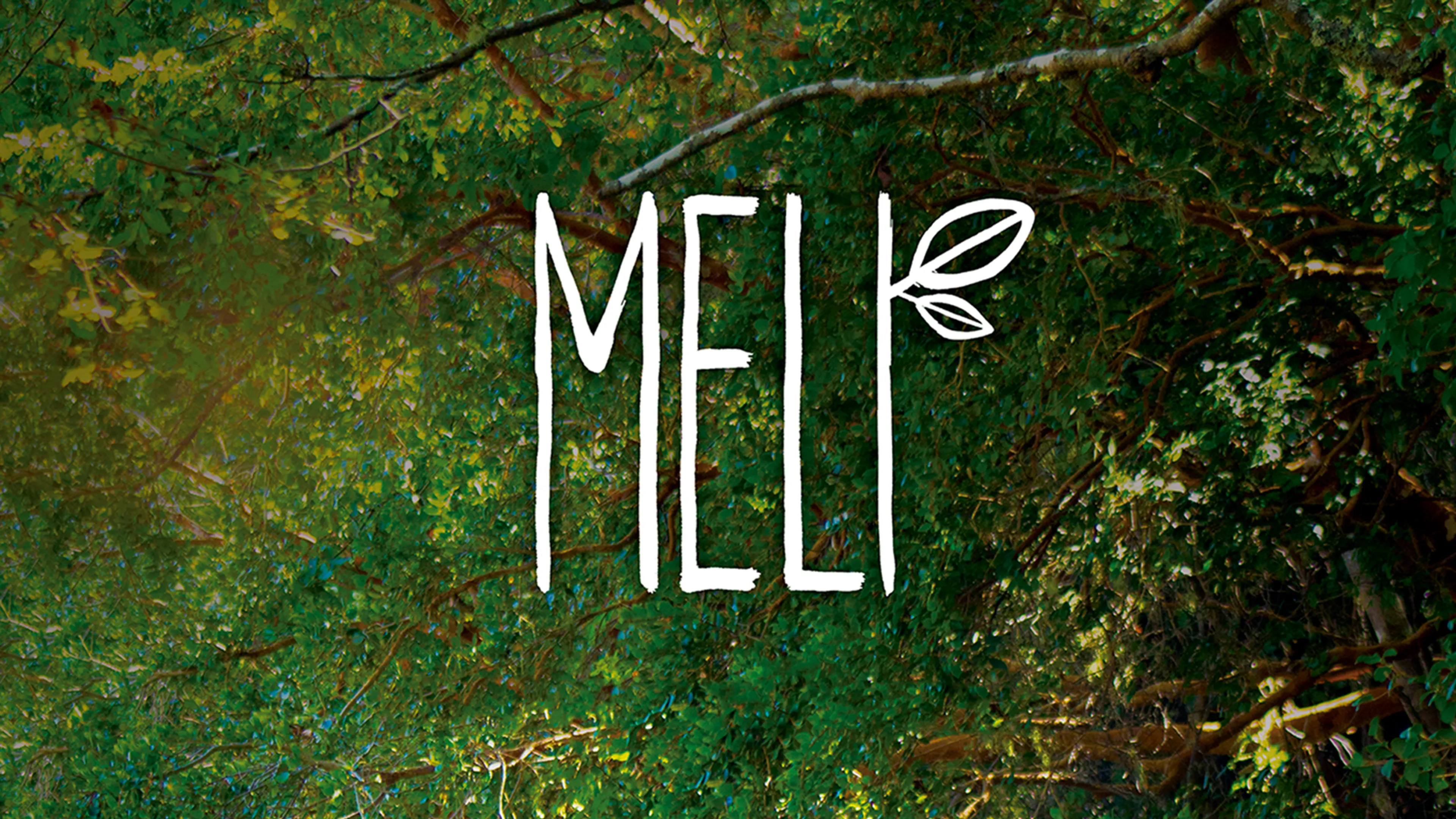 Meli poster